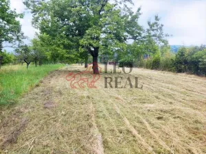 Prodej pozemku pro bydlení, Omice, 988 m2