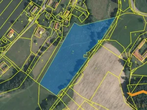 Prodej louky, Horní Radouň - Starý Bozděchov, 16013 m2