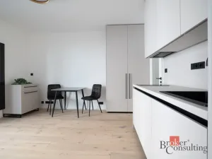 Pronájem bytu 1+kk, Praha - Vršovice, Krymská, 25 m2