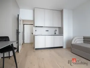 Pronájem bytu 1+kk, Praha - Vršovice, Krymská, 25 m2