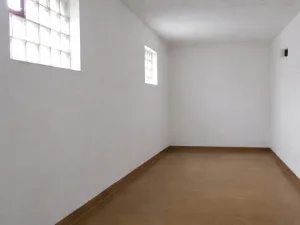 Prodej obchodního prostoru, Bošice, 99 m2