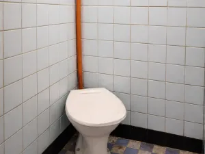 Prodej rodinného domu, Bošice, 99 m2