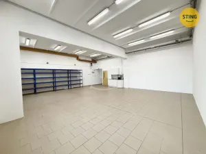 Pronájem skladu, Ostrava, Družební, 130 m2
