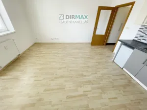 Pronájem bytu 1+kk, Plzeň - Jižní Předměstí, Goldscheiderova, 39 m2