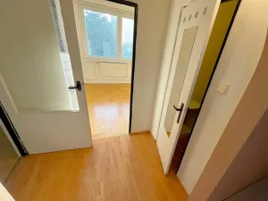 Pronájem bytu 2+1, Olomouc, Synkova, 54 m2