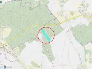 Prodej lesa, Zábřezí-Řečice, 18846 m2