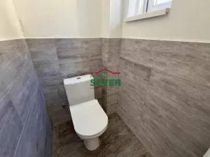 Prodej vícegeneračního domu, Bitozeves - Nehasice, 292 m2