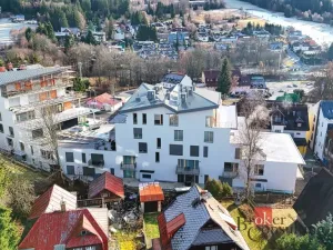 Prodej obchodního prostoru, Železná Ruda, Klatovská, 238 m2