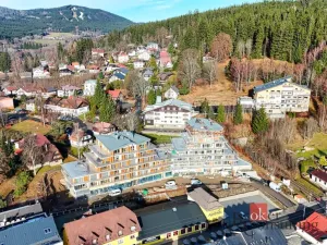 Prodej obchodního prostoru, Železná Ruda, Klatovská, 238 m2