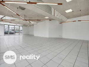 Pronájem obchodního prostoru, Ostrava - Moravská Ostrava, Vítkovická, 253 m2