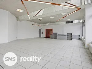 Pronájem obchodního prostoru, Ostrava - Moravská Ostrava, Vítkovická, 253 m2