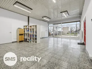 Pronájem obchodního prostoru, Ostrava - Moravská Ostrava, Vítkovická, 253 m2