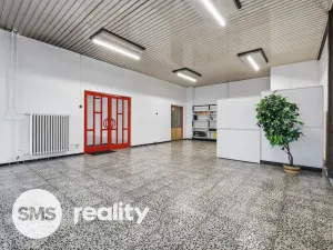 Pronájem obchodního prostoru, Ostrava - Moravská Ostrava, Vítkovická, 253 m2