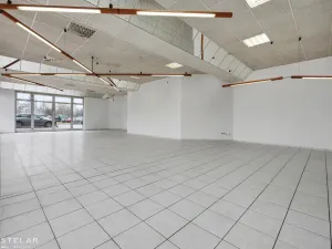 Pronájem obchodního prostoru, Ostrava - Moravská Ostrava, Vítkovická, 253 m2
