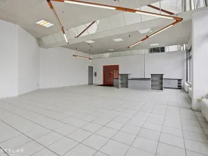 Pronájem obchodního prostoru, Ostrava - Moravská Ostrava, Vítkovická, 253 m2