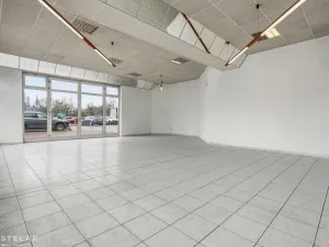 Pronájem obchodního prostoru, Ostrava - Moravská Ostrava, Vítkovická, 253 m2