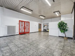 Pronájem obchodního prostoru, Ostrava - Moravská Ostrava, Vítkovická, 253 m2