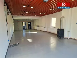 Pronájem výrobních prostor, Krupá, 101 m2