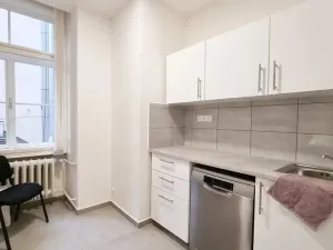 Pronájem komerční nemovitosti, Brno, Sukova, 233 m2