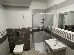 Pronájem bytu 1+kk, České Budějovice, 33 m2