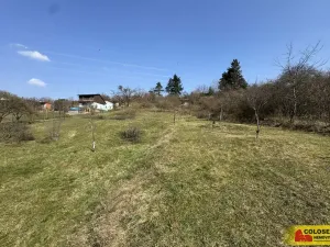 Prodej zahrady, Popůvky, 1750 m2