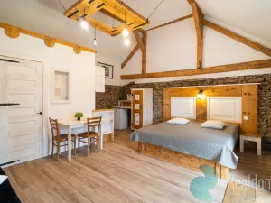 Prodej apartmánu, Malšín - Ostrov, 350 m2