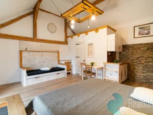 Prodej apartmánu, Malšín - Ostrov, 360 m2