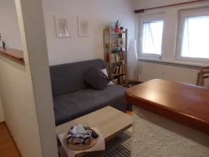 Prodej bytu 2+1, Rýmařov, Žižkova, 42 m2