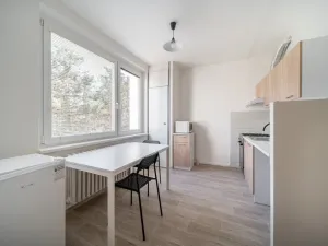 Pronájem bytu 1+1, Brno - Bystrc, 33 m2