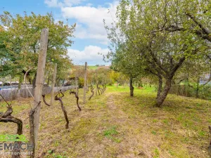 Pronájem rodinného domu, Traplice, 220 m2