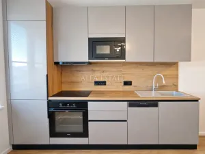 Prodej bytu 3+kk, Karlovy Vary - Drahovice, Východní, 61 m2