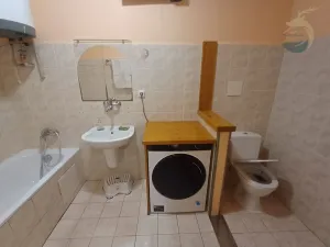 Pronájem bytu 1+kk, Štěnovice, Skalní, 40 m2