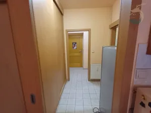 Pronájem bytu 1+kk, Štěnovice, Skalní, 40 m2
