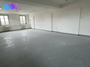 Pronájem kanceláře, Praha, Františka Křížka, 58 m2