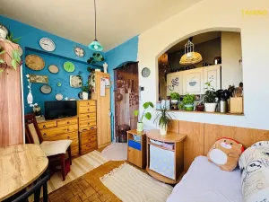 Prodej bytu 2+kk, Třebíč, Řípovská, 35 m2