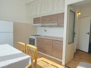 Pronájem bytu 1+1, Jihlava, Březinova, 34 m2