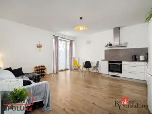 Pronájem bytu 2+kk, Kladno - Kročehlavy, Jaroslava Holečka, 50 m2