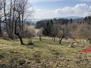 Prodej chalupy, Stachy - Úbislav, 150 m2