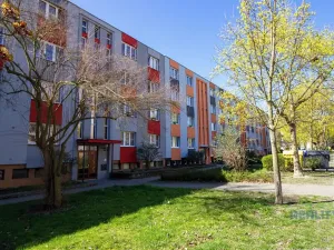 Pronájem bytu 2+kk, Čelákovice, Rumunská, 50 m2