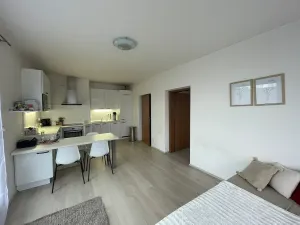 Pronájem bytu 2+kk, Brno, Vídeňská, 45 m2