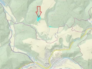 Prodej lesa, Drozdov, 11901 m2