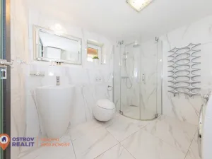 Prodej rodinného domu, Všemina, 286 m2