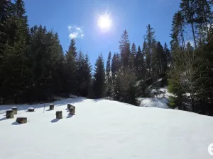 Prodej ubytování, Horní Blatná, Majakovského, 38 m2