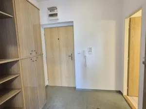 Pronájem bytu 1+kk, Nový Jičín, B. Martinů, 36 m2