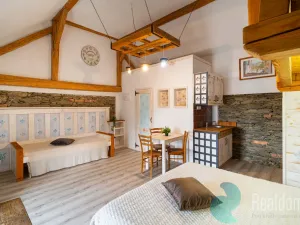 Prodej chalupy, Malšín - Ostrov, 360 m2