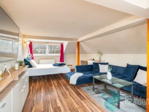 Prodej apartmánu, Český Krumlov, Hřbitovní, 270 m2