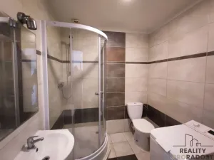 Pronájem bytu 1+kk, Návsí, 30 m2