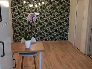 Pronájem bytu 2+kk, Jihlava, Třebízského, 42 m2