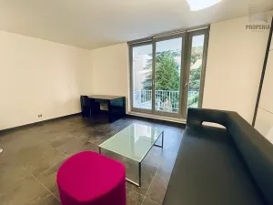 Pronájem bytu 1+kk, Brno, Cihlářská, 38 m2