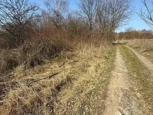 Prodej pozemku, Kostelec u Křížků, 651 m2